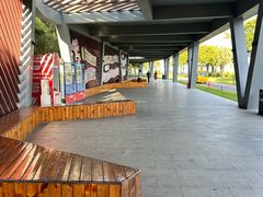 -野狸岛