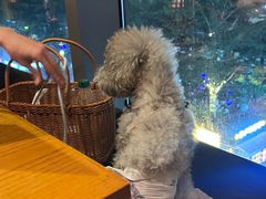 -爱碗亭·鲜炒湖南菜(壹城中心店)