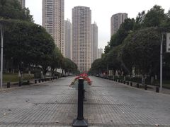 -重庆市江北嘴中央商务区中央公园