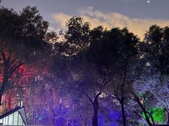 -枫花园汽车电影院(朝阳公园店)