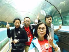 -悉尼海洋生物水族馆