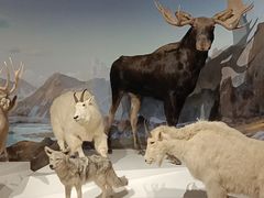 -陕西自然博物馆