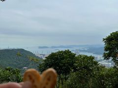 -梧桐山风景名胜区