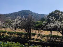 -白马涧龙池景区