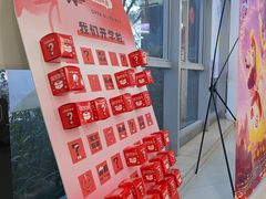 -小荧星艺校(浦东中环分校)