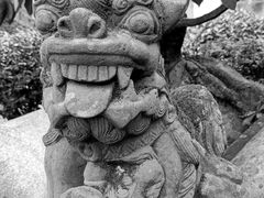 -峨眉山报国寺