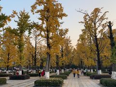 -两江幸福广场