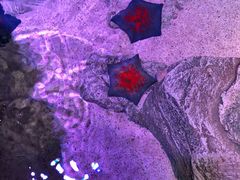 -沈阳海洋探索中心