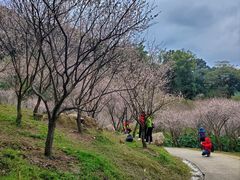 -广州市白云山风景名胜区