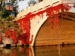 -大兴滨河森林公园