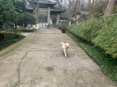 -南山风景名胜区
