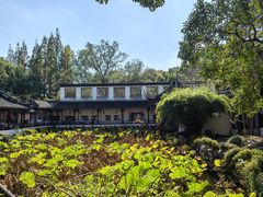 -上海醉白池公园