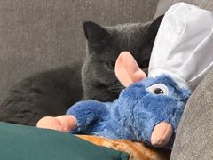 -汉斯南美烤肉(总店)