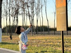 -汉长安城未央宫国家考古遗址公园