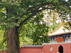 -冶父山国家森林公园