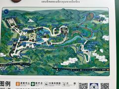 -野象谷景区