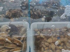 景观位-东海章鱼馆(恒瑞街店)