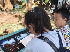 -国家自然博物馆