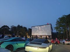 -枫花园汽车电影院(朝阳公园店)