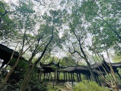 -上海佘山国家森林公园天马山园