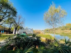 -Supine Bistro溯泮餐厅