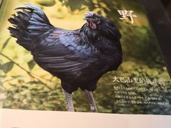 -黑鸡小馆(金源店)