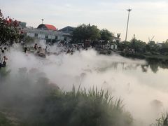 -荷兰花海