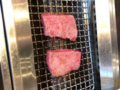 -俺的焼肉(銀座9丁目店)