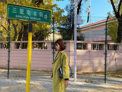 -三里屯东五街银杏大道