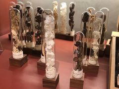 -二酉书店TOYOU BOOKS