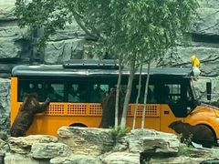 -北京野生动物园