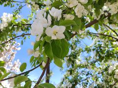 -元大都城垣遗址公园