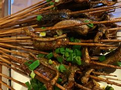 鳝鱼-晓靖轩烧烤(沙河风情店)