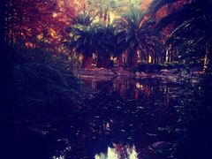 -苏州河梦清园环保主题公园