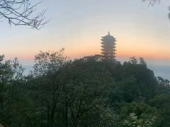 -缙云山景区