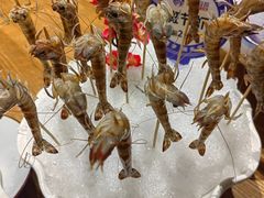 -尚海豆捞(乐虹坊店)