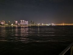 -武汉两江游览·夜游长江(汉口粤汉码头)