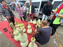 -中环花鸟鱼虫市场