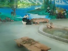 -柳州市动物园