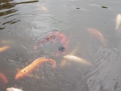 -月牙潭公园