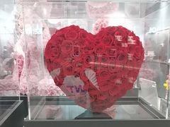 -ROSEONLY诺誓(广州K11店)