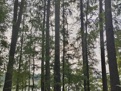 -东湖落雁景区