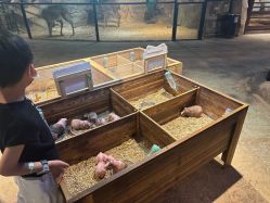 -酷嗒动物文化乐园(cutezoo西溪乐天城店)