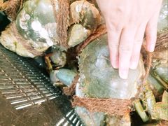 -無招牌海鮮(芽笼店)