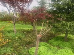 -盐官日光域房车营地·有盐餐厅