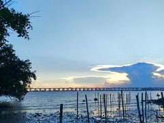 -宝安西湾红树林湿地公园