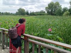 -羊亭河湿地公园