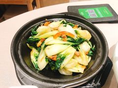 白菜苗-尚一汤·粤菜海鲜(环球港店)