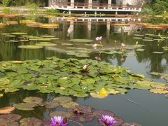 -国家植物园南园