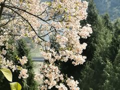 -金堂县云顶石城风景区
